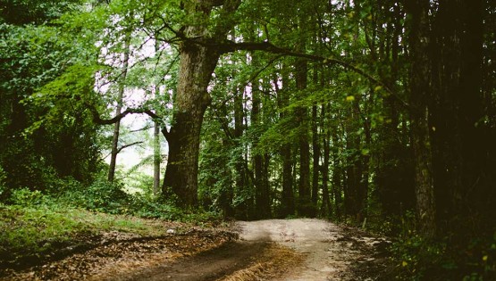 PYiPY2JSkWSJ4knweWRg_IMG_6953